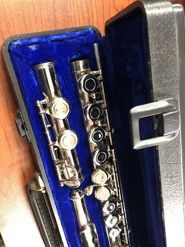 Parrot Starter Flute w/ Case | Reverb