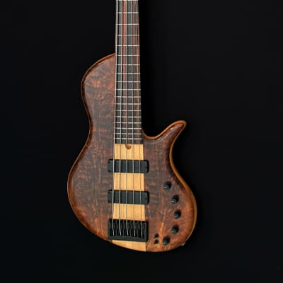 Elrick Platinum Series E-Volution Single Cut 5-String Bass, Macassar Ebony, Walnut image 2