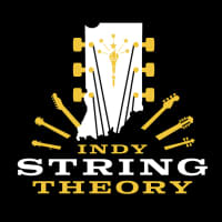 Music Nomad Polishing Cloth MN200 - Indy String Theory LLC