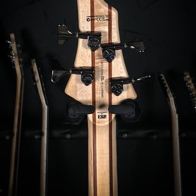 ESP LTD B-204SM Bass Guitar - See Thru Black Satin image 8