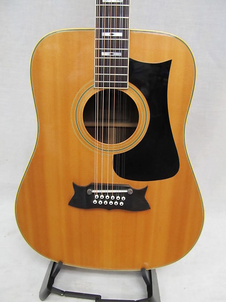 Ibanez artist store 12 string