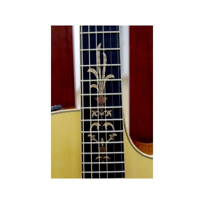 Guitarra Acustica y Amplificador TAYLOR BR-III Acoustic Guitar Amp Set image 8