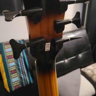 Washburn AB-45 5 String Electric-Acoustic Bass image 5