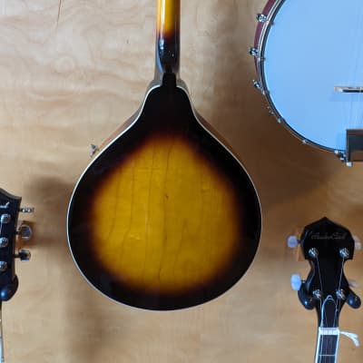 New Washburn M1S-A Mandolin image 2