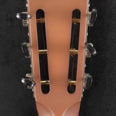 National Raw Steel 12-Fret Resonator with Chicken Foot Cover Plate image 7