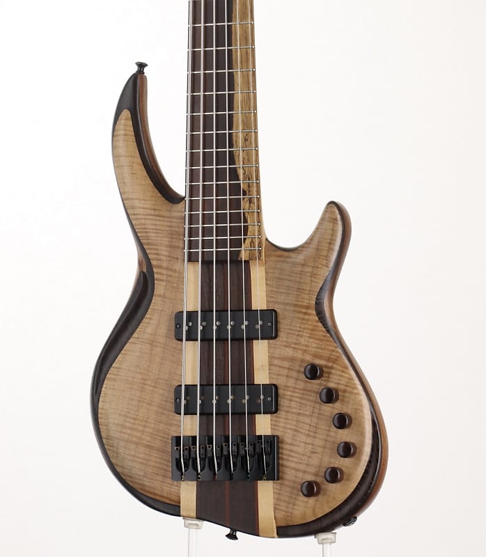 Wyn fretless online bass