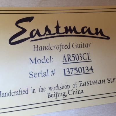 Eastman AR503CE 2018 Natural image 13