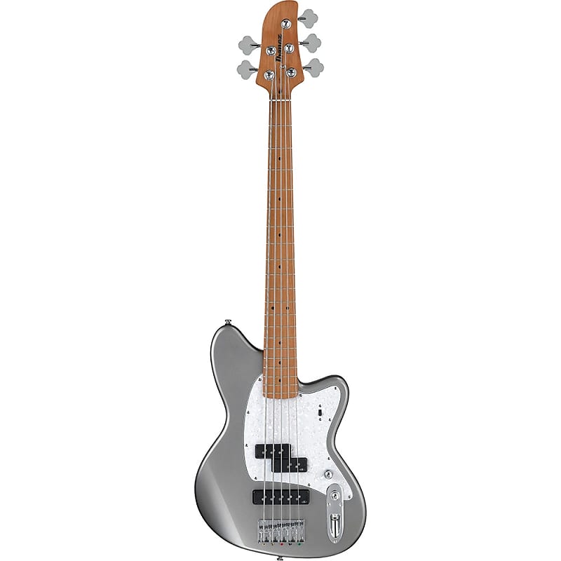 Ibanez TMB505-MG Talman Standard 5-String Bass Metallic Gray image 1