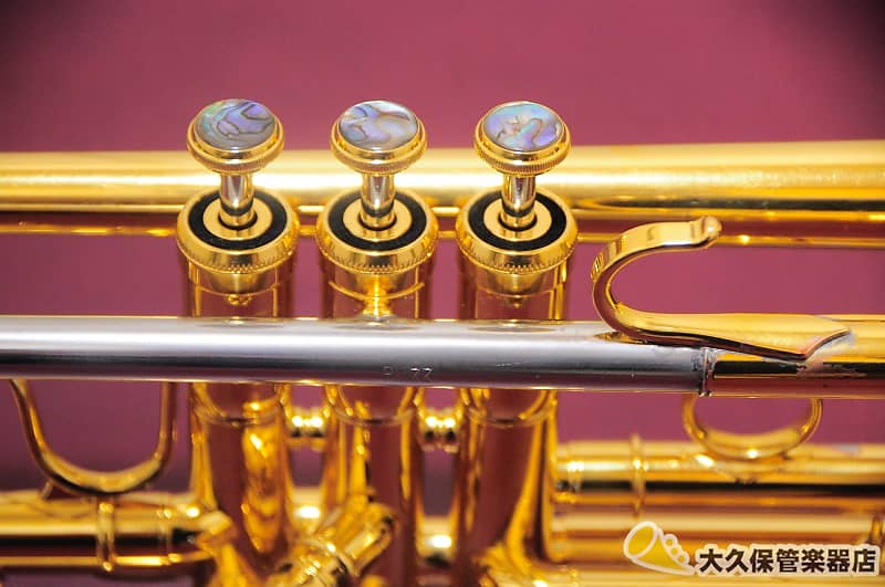 管楽器・吹奏楽器 CADESON TR2000GP Cadeson TR-2000GP “Shu” w/BUZZ Leadpipe B♭ Trumpet | Reverb