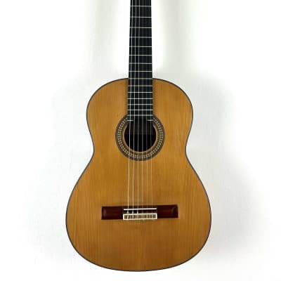 Antonio Raya Pardo Classical Guitar 1977 - French Polish for sale