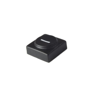 Oberheim - Xpander , Matrix 12 - Black panel switch cap with numeral '-'