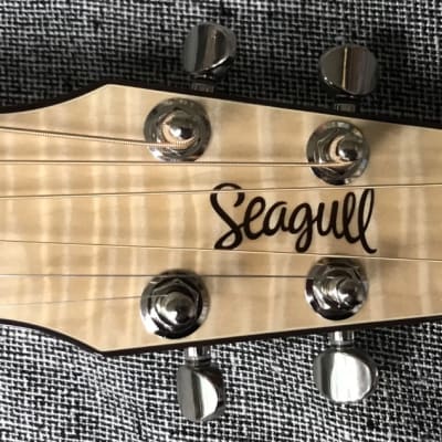 Seagull- PERFORMER CW Flame Maple, High gloss, QIT, with gig bag or hardshell case image 4