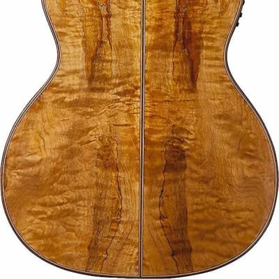 Washburn WCG66SCE Comfort Deluxe Series Solid Cedar Top Spalted 6-String Acoustic-Electric Guitar image 4