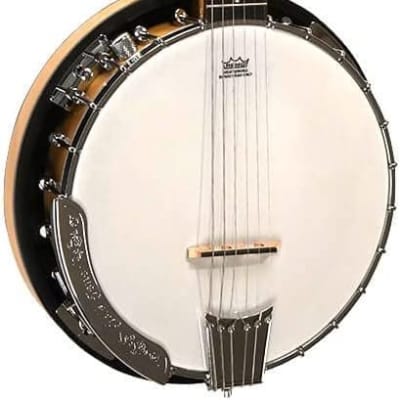 Gold Tone GT-500 Banjitar Banjo (Six String) image 1