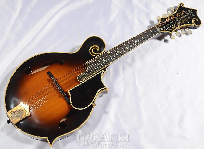 Gibson 1981 F 5L image 1