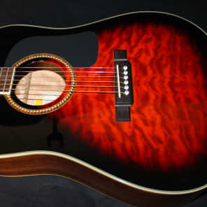 Washburn store d10 qsb