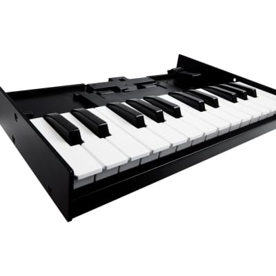 Roland K-25m Boutique Keyboard image 1