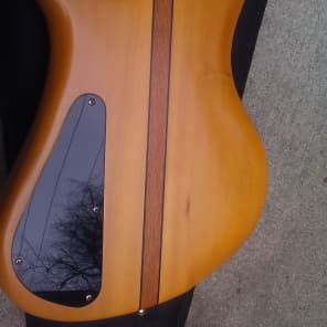 Novax Expression 1998 Natural - fanned frets, Bartolinis, boutique luthier, custom image 5