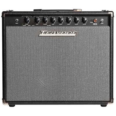 Traynor YGL2 | 30-watt 1x12" All-Tube Combo. New with Full Warranty! image 2