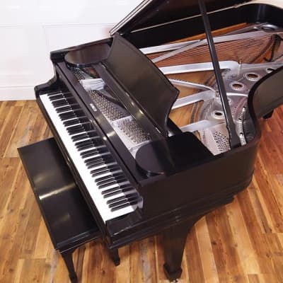 Steinway & Sons B 1894 - Ebony Satin Grand Piano New Rebuild image 2