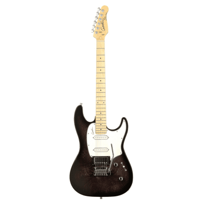 【Made in Canada】Godin session ストラトキャスター Godin Session With Maple Fretboard | Reverb Canada