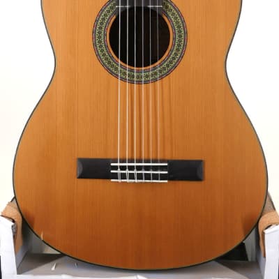 Walden SupraNatura Classical Guitar, Acoustic Nylon String 2010s image 1
