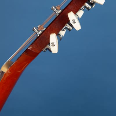 Harmony H165 / X-Brace Conversion / 1958-68 / Gimme the Works! image 14