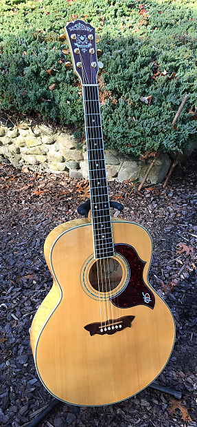 Washburn j28sdl new arrivals