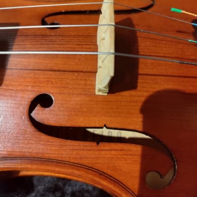 Bellafina Prodigy Violin (Dallas, TX) image 4