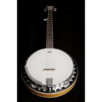 Washburn B9-WSH Americana Series Cast Aluminum Tone Ring  5-string Resonator Banjo image 1