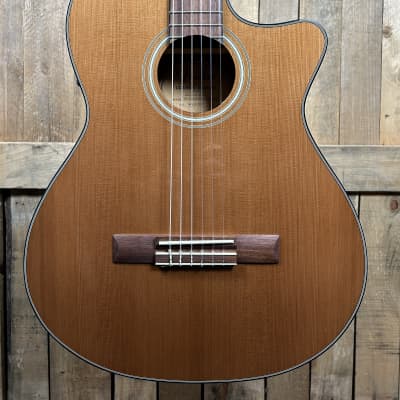 Fender CN-240SCE Thinline Classical Nylon Acoustic-Electric Guitar | Reverb