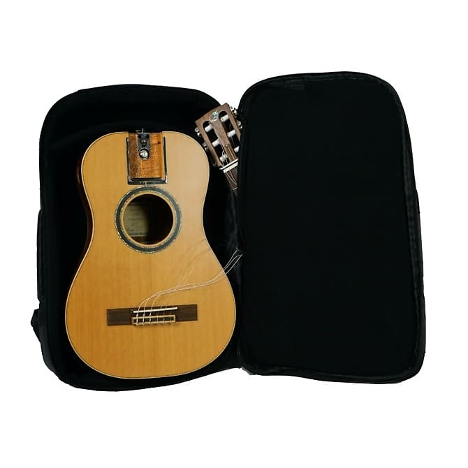 Acheter Le kit d'accessoires pour guitare comprend 20 protège