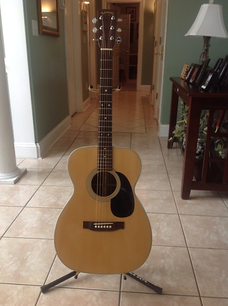 Takamine f310 top