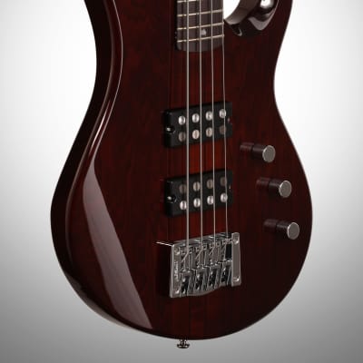 PRS Paul Reed Smith SE Kingfisher Electric Bass, Tortoise Shell image 3