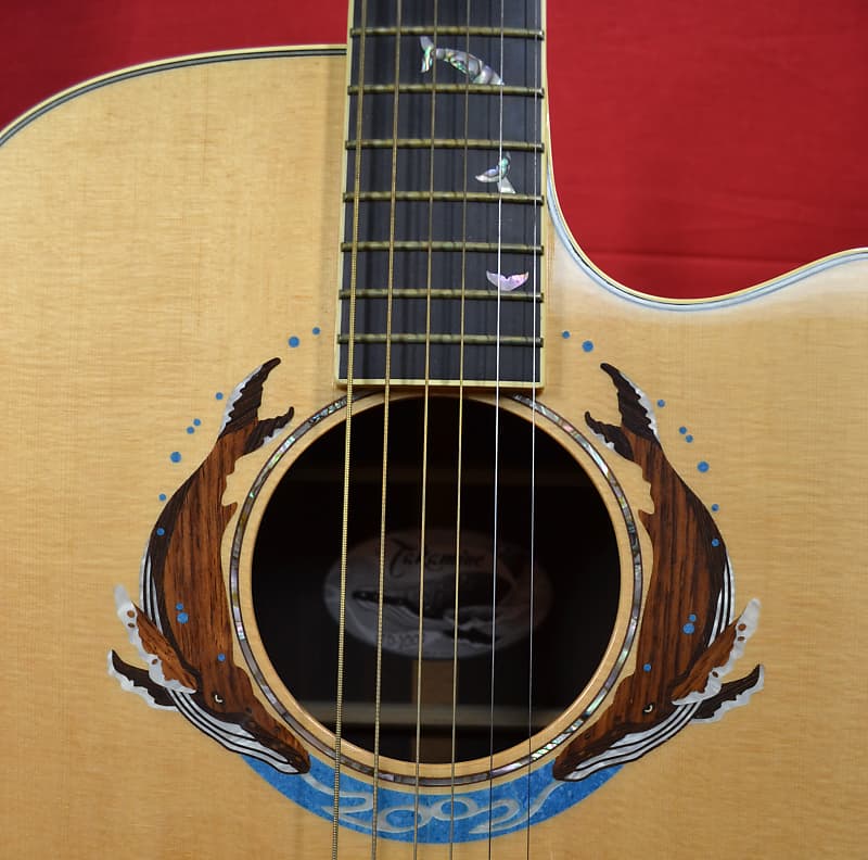 エビテン様　willinckii Limited Edition他 Takamine LTD 2002 - Limited Edition - WHALE Inlay | Reverb