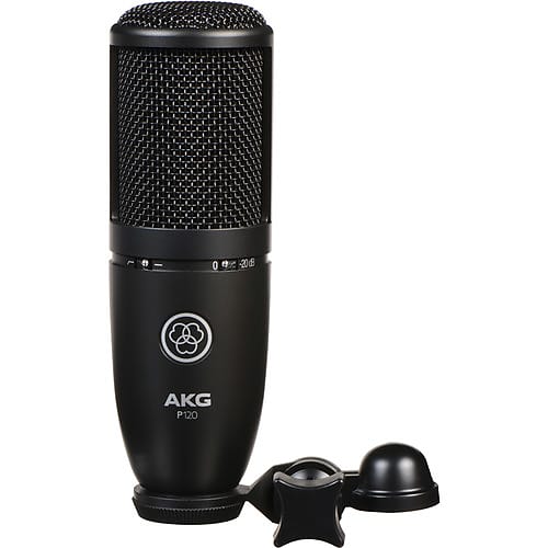 P120  High-performance general purpose recording microphone