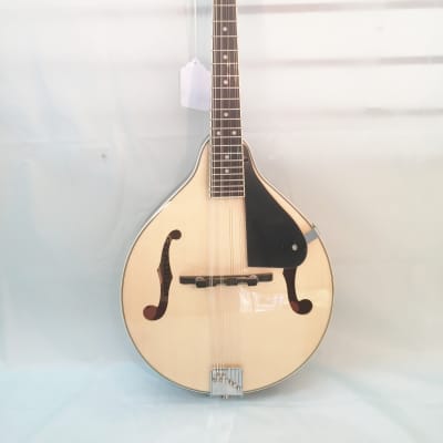 Martin Backpacker Mandolin with Martin Padded Bag! Excellent 