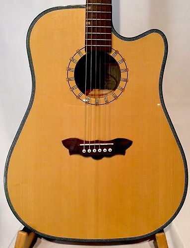 Washburn D46 SCEKIQ