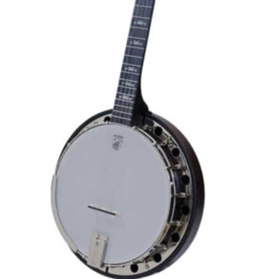 Deering Artisan Goodtime Special 5-String Banjo NEW for sale