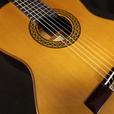 Alhambra Premier Pro Madagascar Javier Mengual Classical Guitar w/Hard Cse image 13