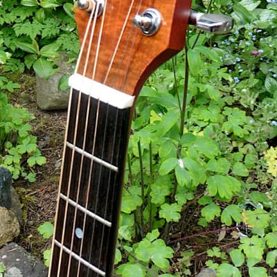 ギター Morris TornadoWT-808 HawaiianKoa+Flight Morris Tornado WT-808 Hawaiian Koa+Flight Case 2000's