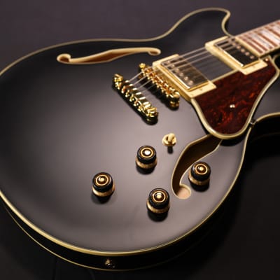 Ibanez AK85-DVS-12-01 – Chicago Music Exchange