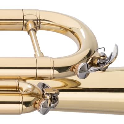 Stagg Bb Student Brass Trumpet w/ Case image 6