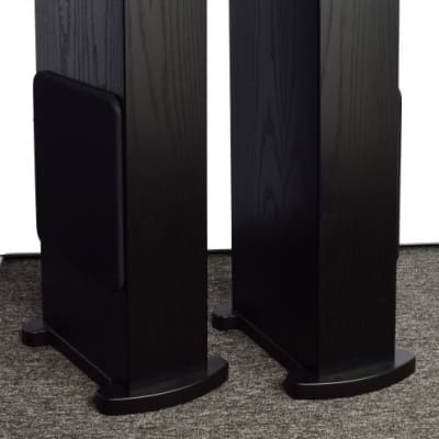 TRX Home Deluxe Speaker System Black Ash image 1