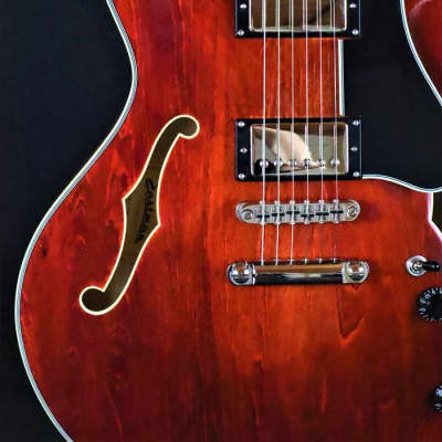 Eastman T386-CLA Thinline Archtop 2010s Classic image 5