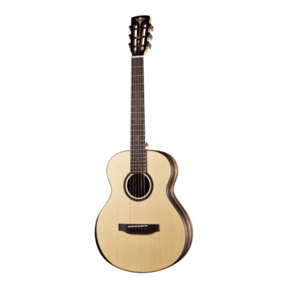 Crafter twin on sale bird guitar