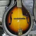Fender FM53S Pickguard Tortoise Shell 2016 (Hardshell Case Included)