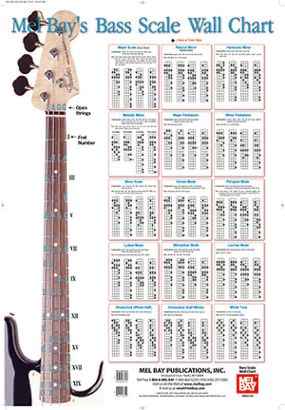 Bass Scales Wall Chart | Reverb