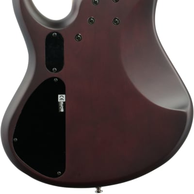 MTD Kingston Series AG 6 Solid Body Bass Guitar Plum Burst Figured Maple - KAG6PH-AG image 5