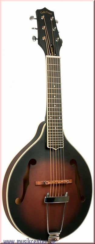 Gold Tone  A-6 Gitarren-Mandoline A-Stil Korpus, mit Tasche image 1